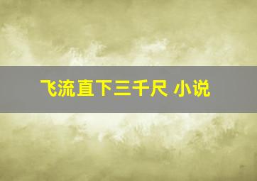 飞流直下三千尺 小说